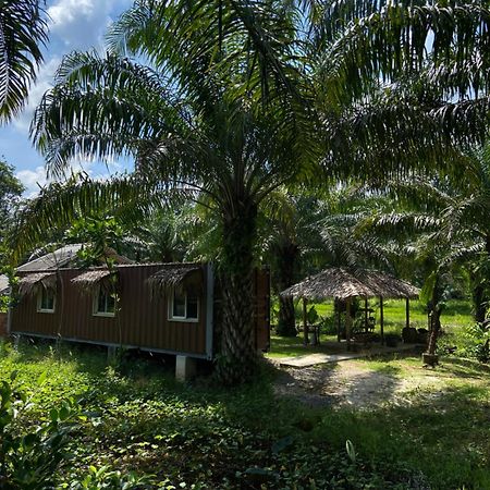 Forest Guesthouse Ban Don Muang  Ngoại thất bức ảnh