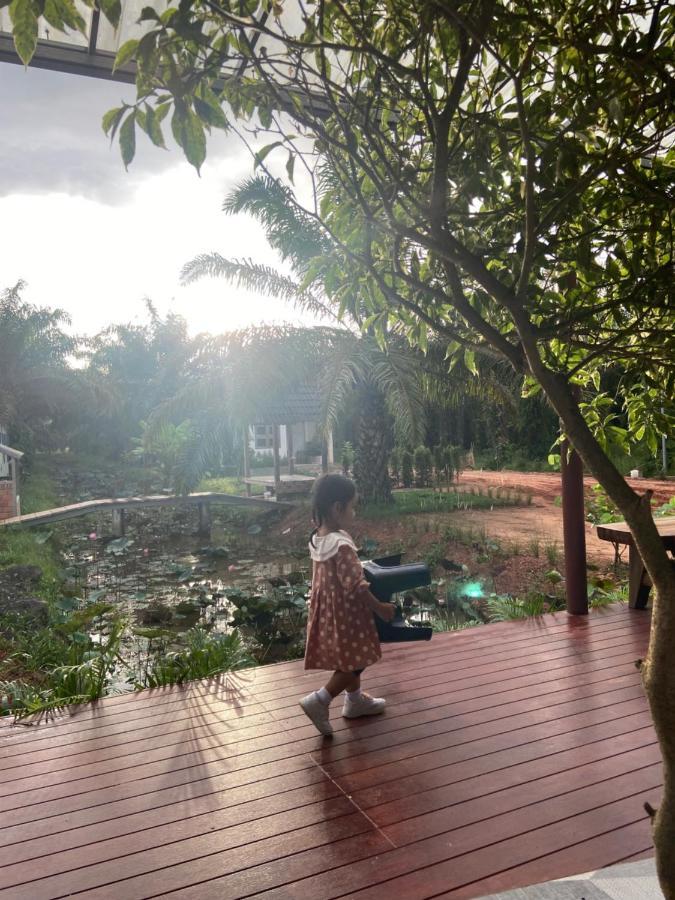 Forest Guesthouse Ban Don Muang  Ngoại thất bức ảnh