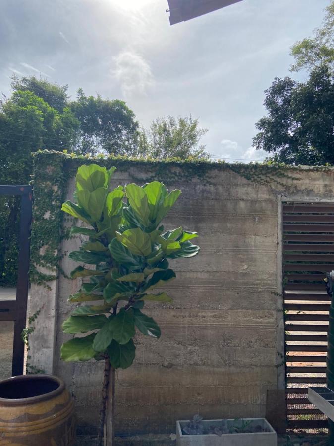 Forest Guesthouse Ban Don Muang  Ngoại thất bức ảnh